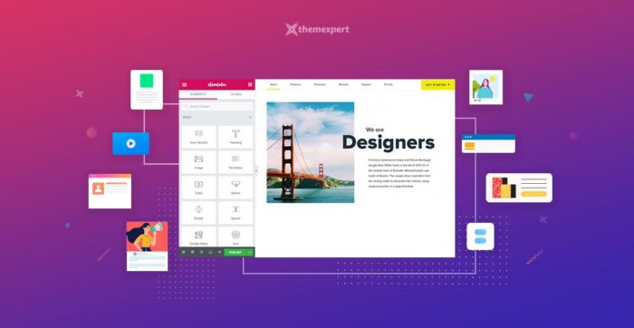 Elementor Pro - Image 3